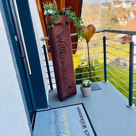 Keuerleber Holzmaden